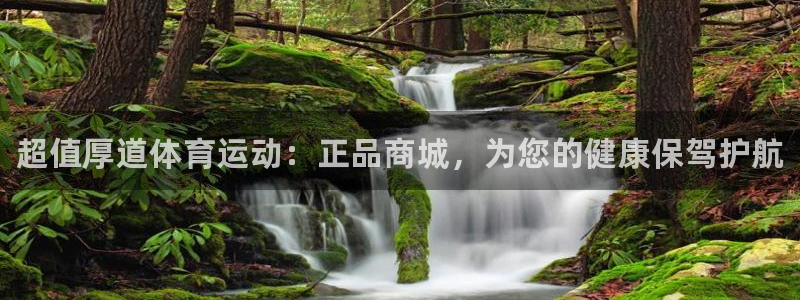 vsport体育官方正版app娱乐首页官网下载:超值厚道体育