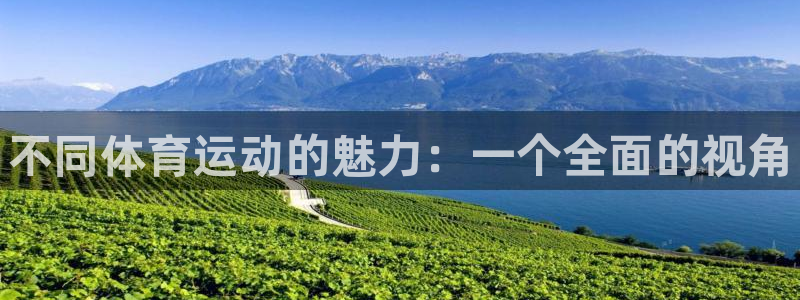 vsport体育官方正版app代理:不同体育运动的魅力:一个