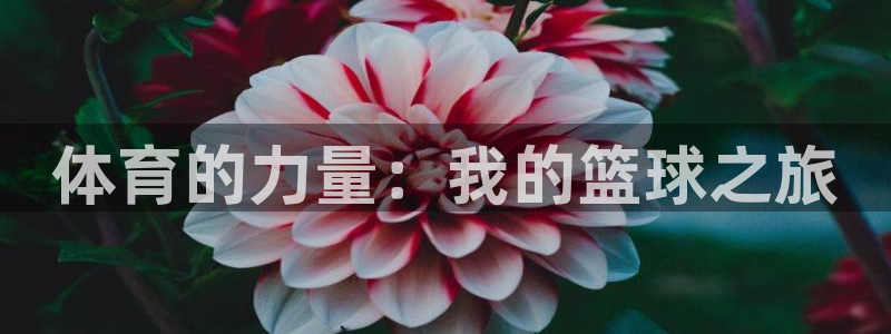 vsport体育官方正版app集团官网首页网址:体育的力量: