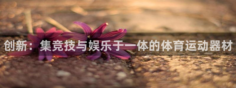 vsport体育官网下载招商:创新:集竞技与娱乐于一体的体育